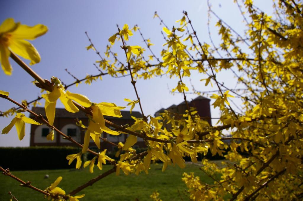 Agriturismo Cascina Nuova Villa Valenza Eksteriør bilde