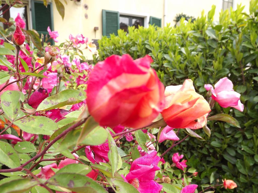 Agriturismo Cascina Nuova Villa Valenza Eksteriør bilde