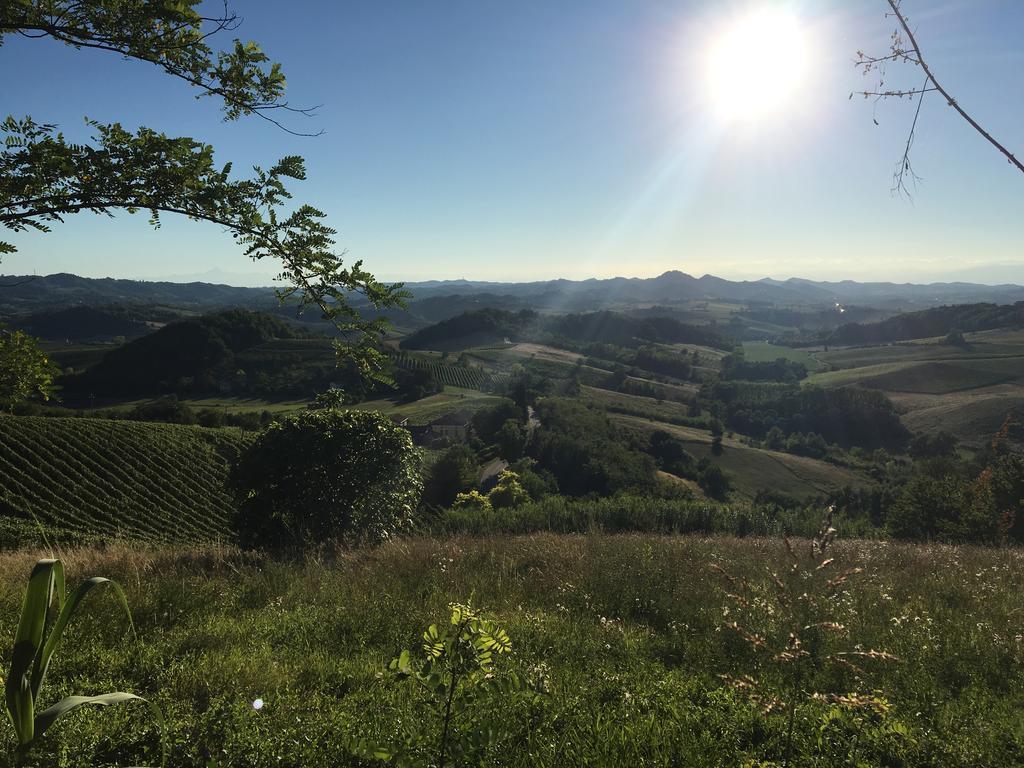 Agriturismo Cascina Nuova Villa Valenza Eksteriør bilde