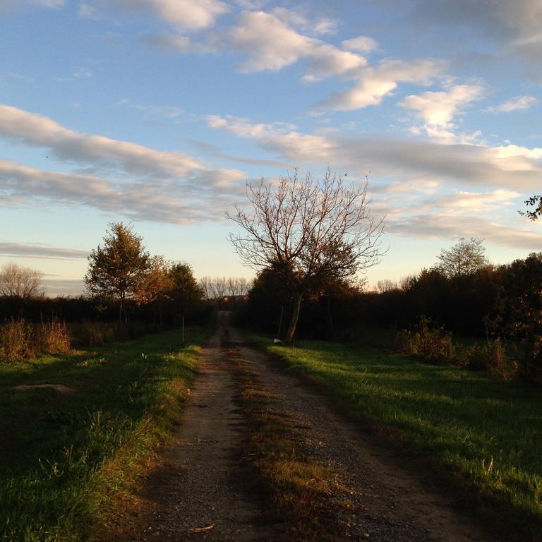 Agriturismo Cascina Nuova Villa Valenza Eksteriør bilde