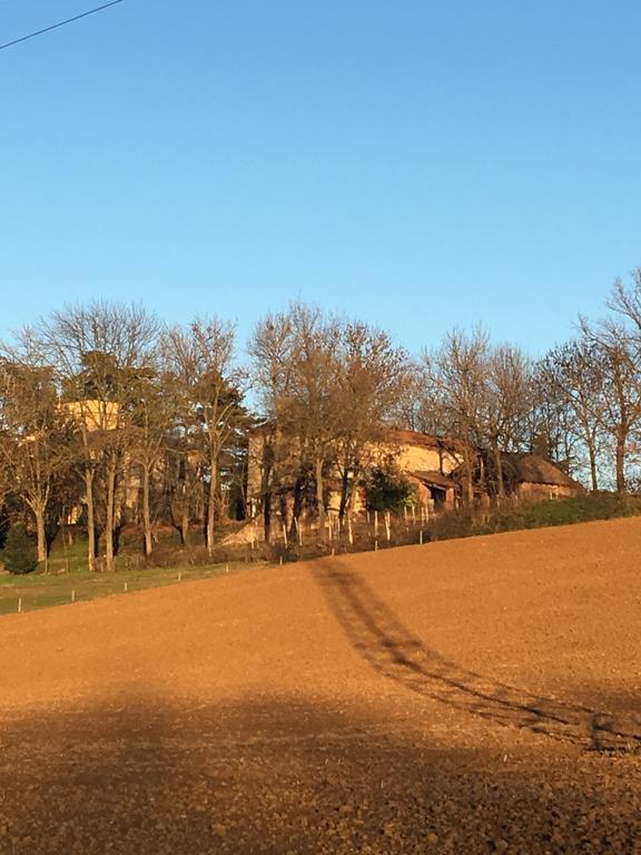 Agriturismo Cascina Nuova Villa Valenza Eksteriør bilde
