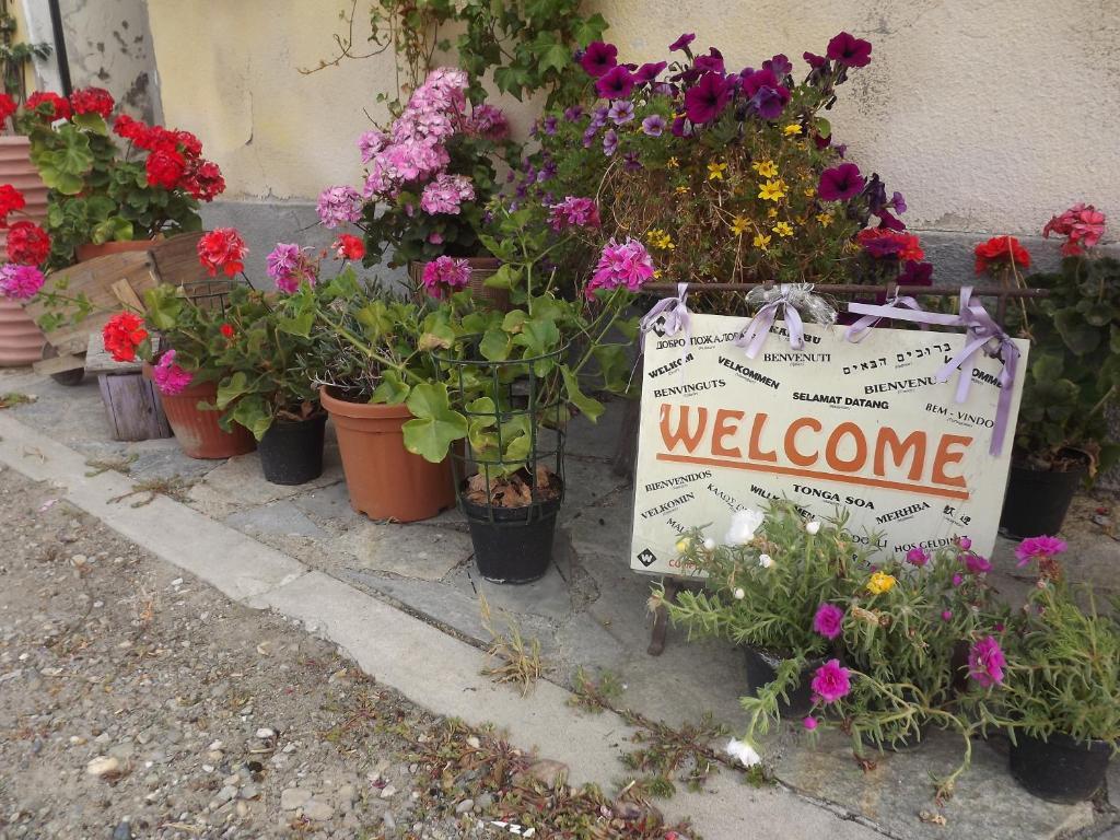 Agriturismo Cascina Nuova Villa Valenza Eksteriør bilde