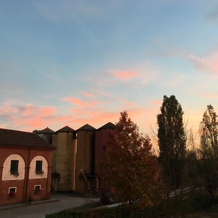 Agriturismo Cascina Nuova Villa Valenza Eksteriør bilde
