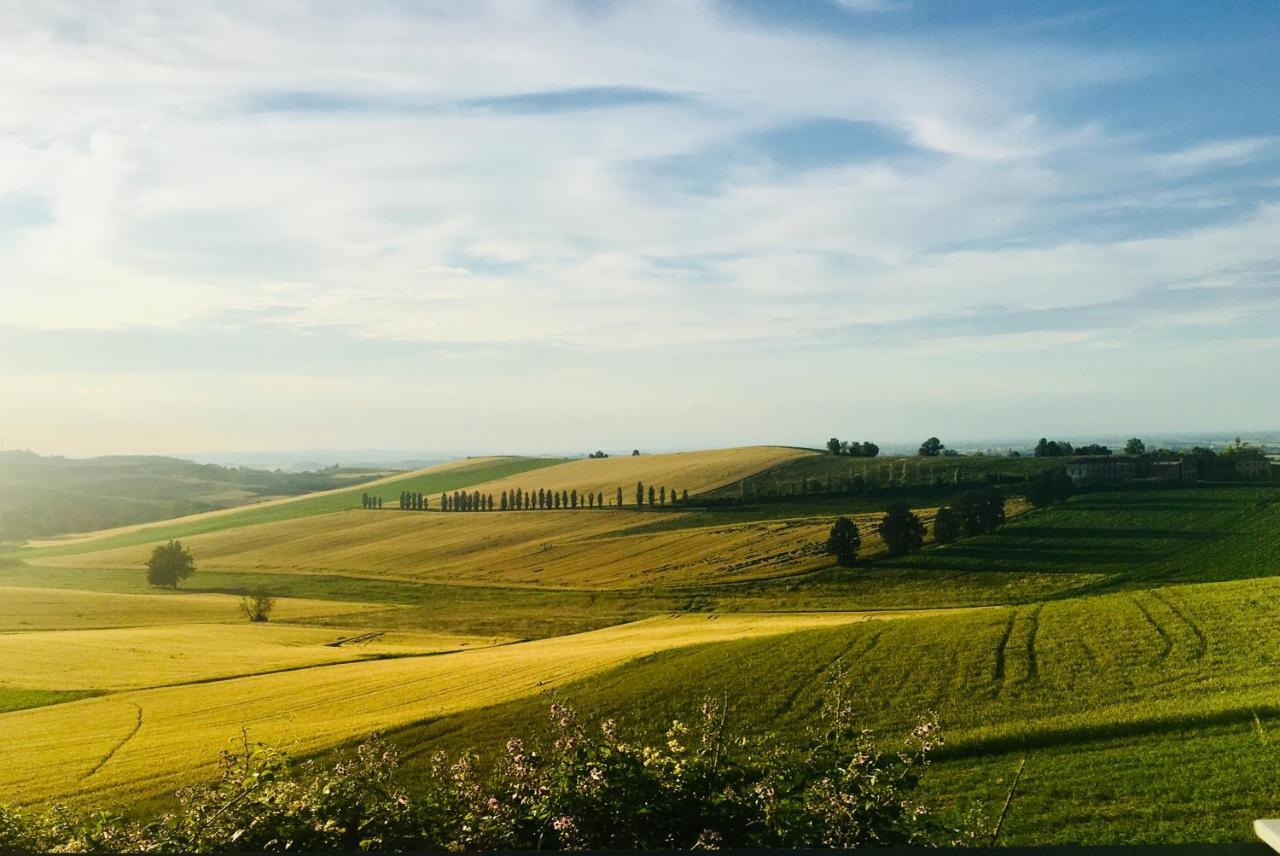 Agriturismo Cascina Nuova Villa Valenza Eksteriør bilde